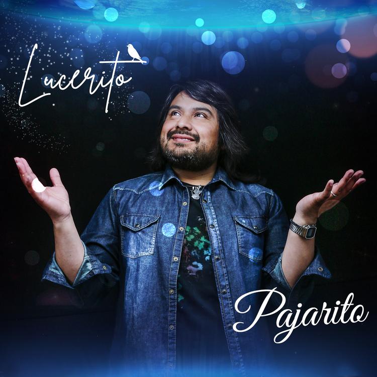 Pajarito's avatar image