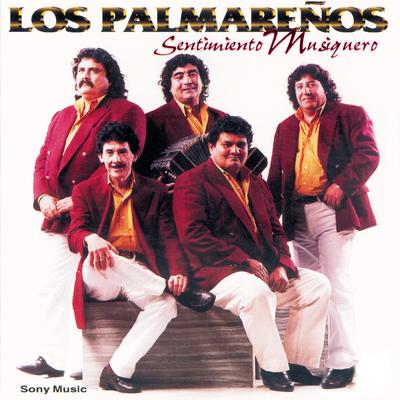 Nunca Dejaré De Quererte By Los Palmareños's cover