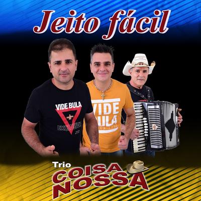 Jeito Fácil By Trio Coisa Nossa's cover