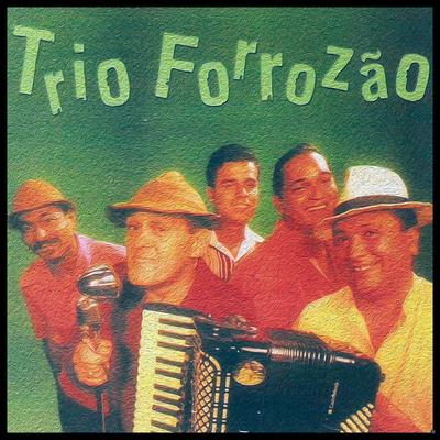 Minha Historia By Trio Forrozão's cover