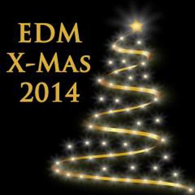 EDM X-Mas 2014's cover