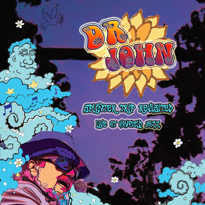 I Walk On Guilded Splinters By Dr. John's cover