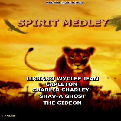 Spirit Medley's cover