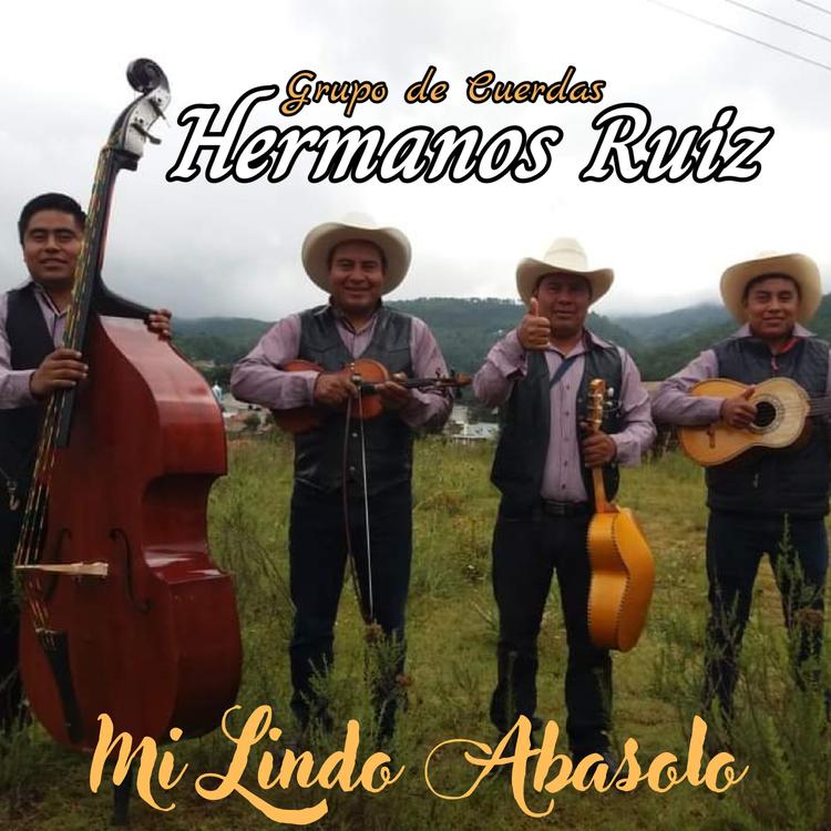 Grupo de Cuerdas Hermanos Ruiz's avatar image