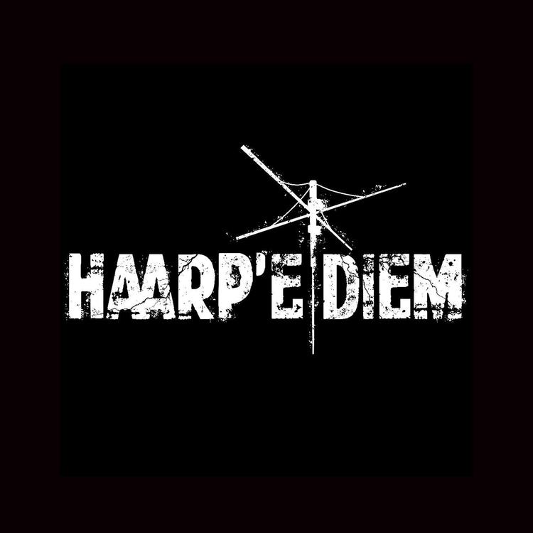 Haarp'e'Diem's avatar image