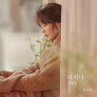 Song Ji Eun's avatar cover