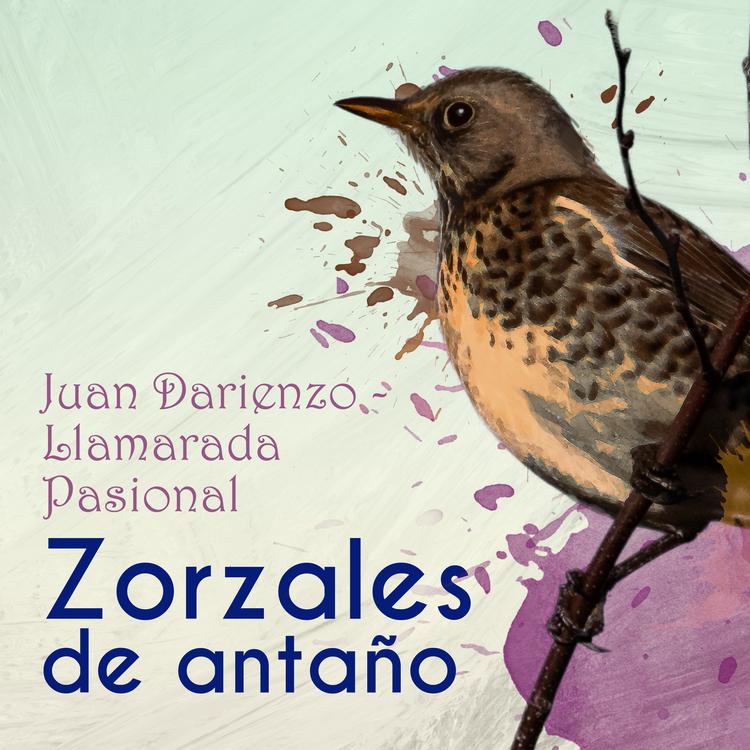 Orquesta De Juan Darienzo's avatar image