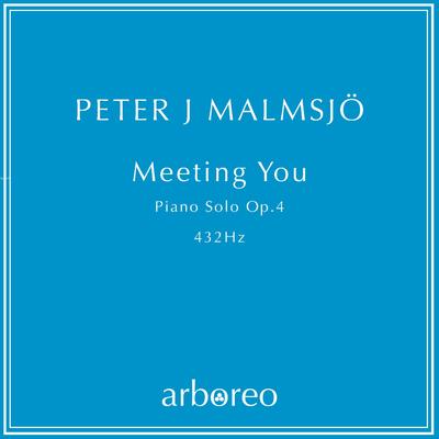 Looking At You By Peter J. Malmsjö's cover