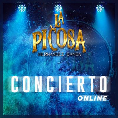 Concierto Online (En Vivo)'s cover