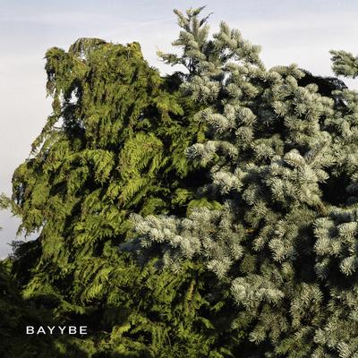 Bayybe 07 By Bilo 503's cover