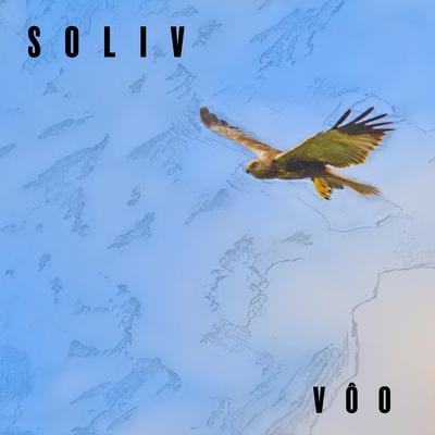 Vôo's cover