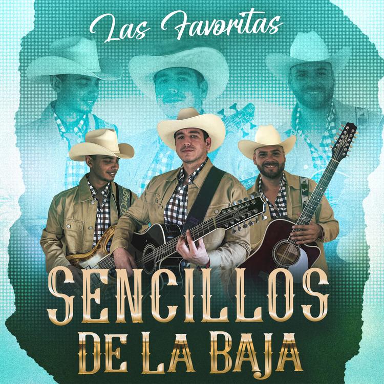 SENCILLOS DE LA BAJA's avatar image