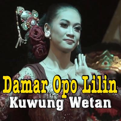 Damar Opo Lilin By Kuwung Wetan, Feny Mega's cover