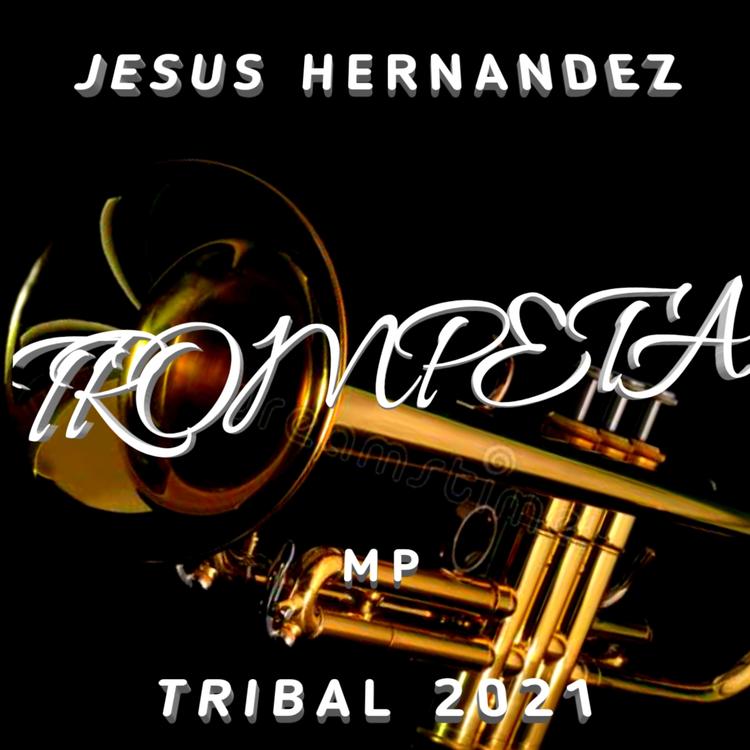 Jesus Hernandez.'s avatar image