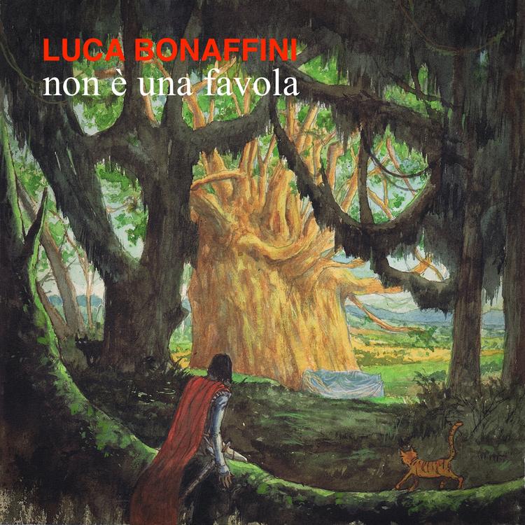 Luca Bonaffini's avatar image