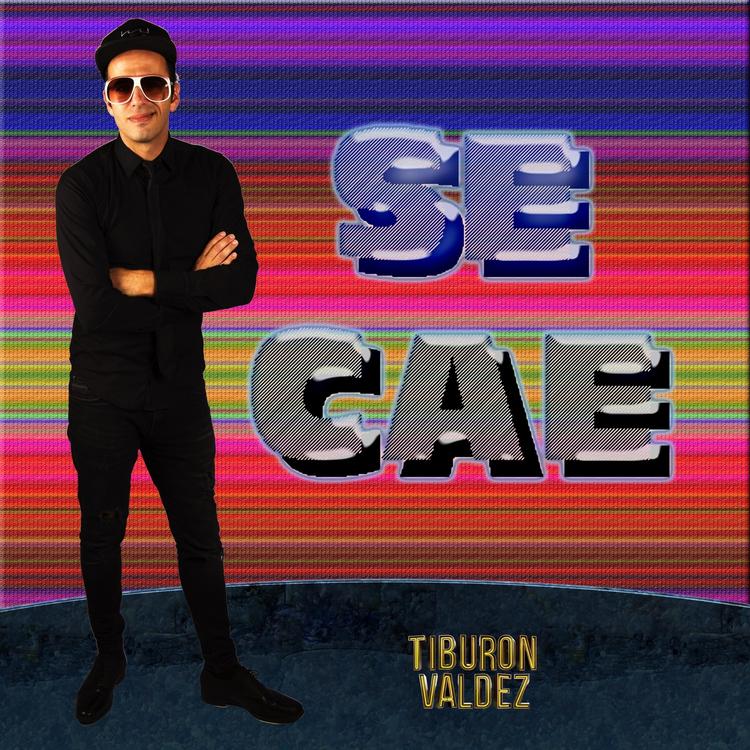 Tiburon Valdez's avatar image