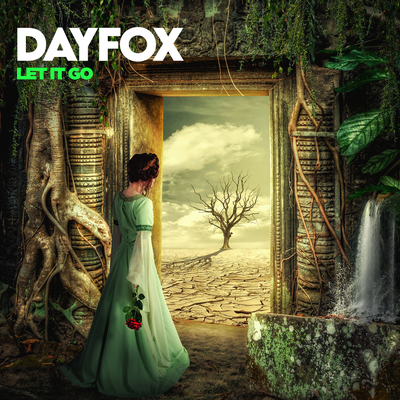 Let It Go (Instrumental Version) By DayFox's cover