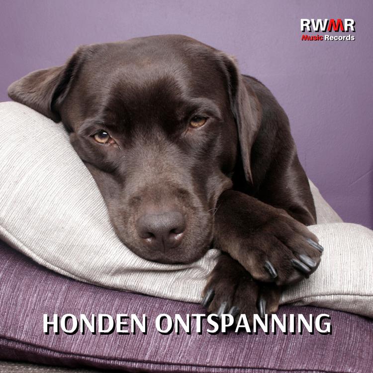 RW Honden Achtergrondmuziek's avatar image