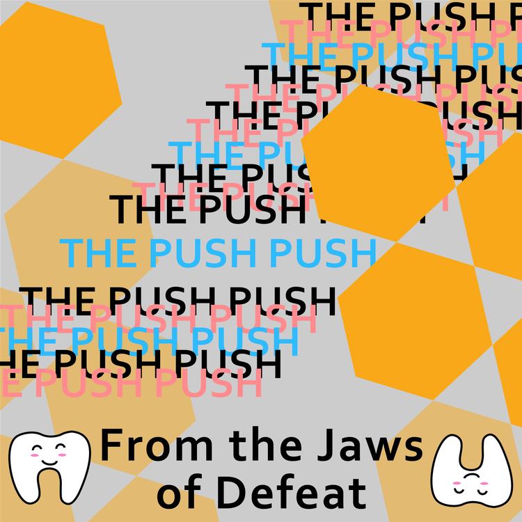 The Push Push's avatar image