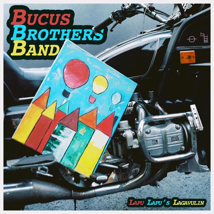 Bucus Brothers Band's avatar image