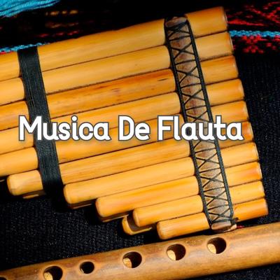Música de Flauta By Musica Relajante's cover