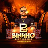 Binho Do Piseiro's avatar cover