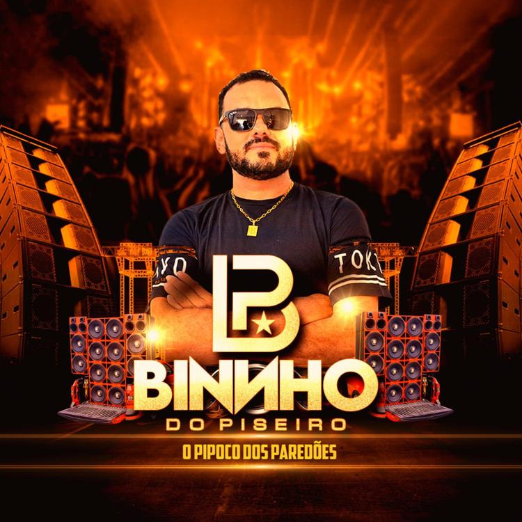 Binho Do Piseiro's avatar image