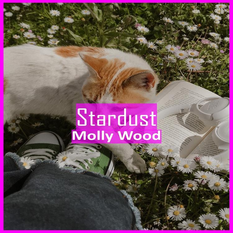 Molly Wood's avatar image