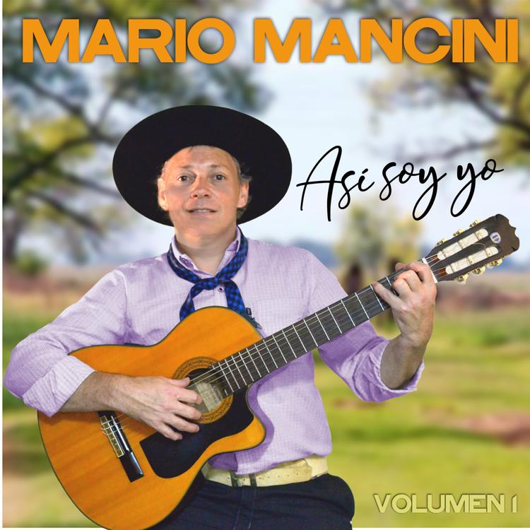 Mario Mancini's avatar image