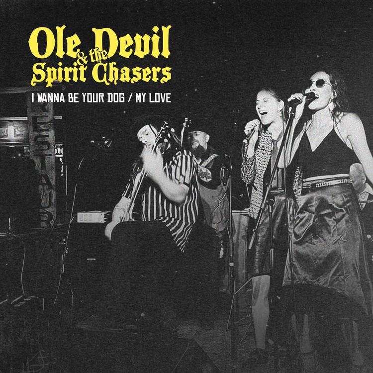 Ole Devil & The Spirit Chasers's avatar image