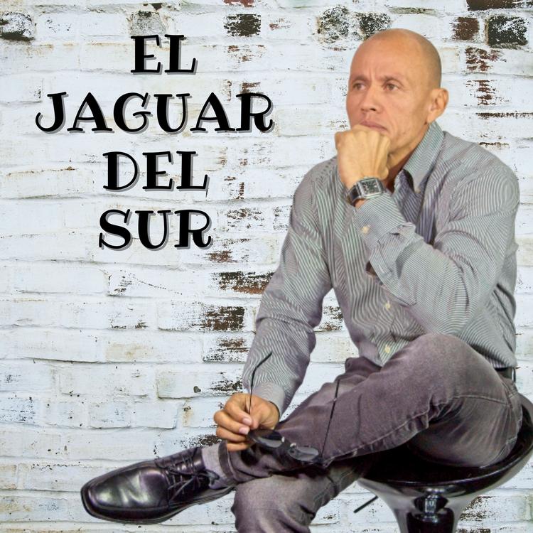 El jaguar del Sur's avatar image