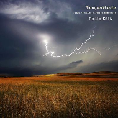 Tempestade (Rádio Edit) By Jorge Vercillo, Junior Meirelles's cover