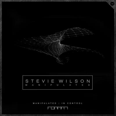 Stevie Wilson's cover
