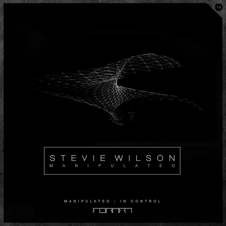 Stevie Wilson's avatar image