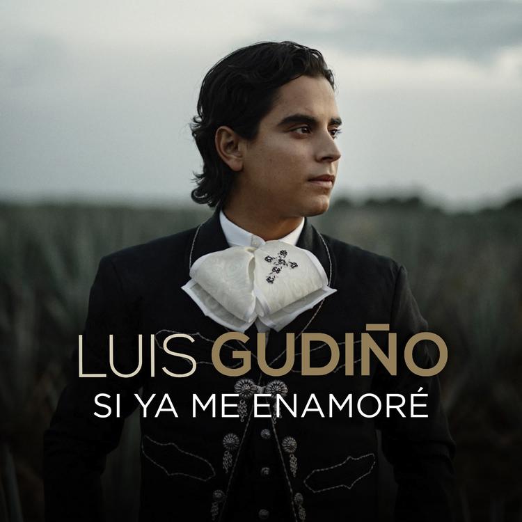Luis Gudiño's avatar image