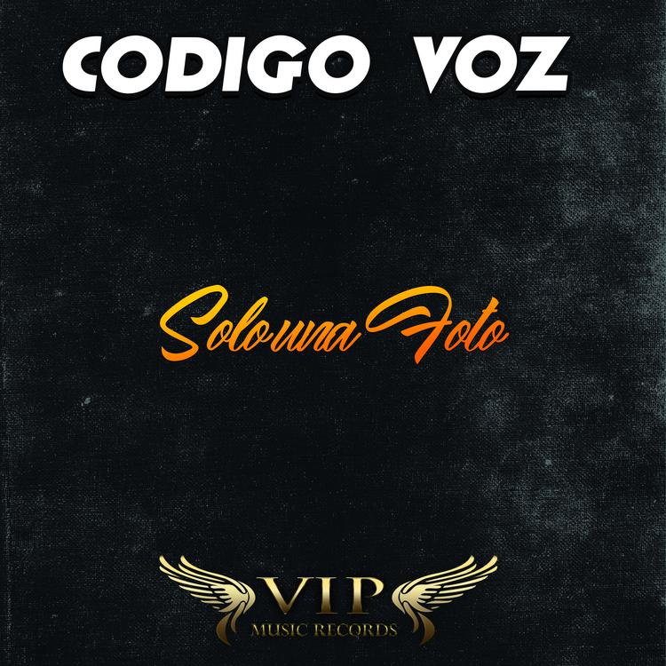 Codigo Voz's avatar image