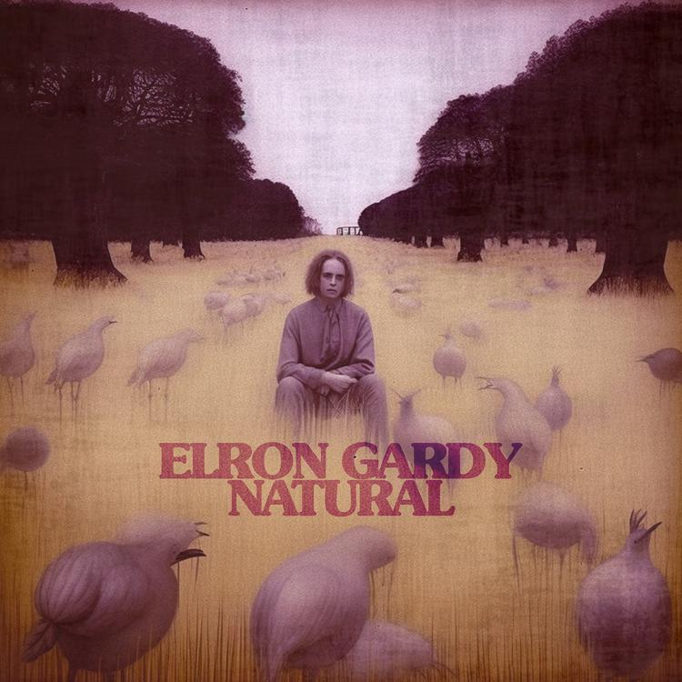 Elron Gardy's avatar image