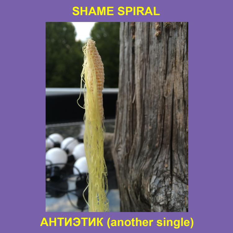 Shame Spiral's avatar image