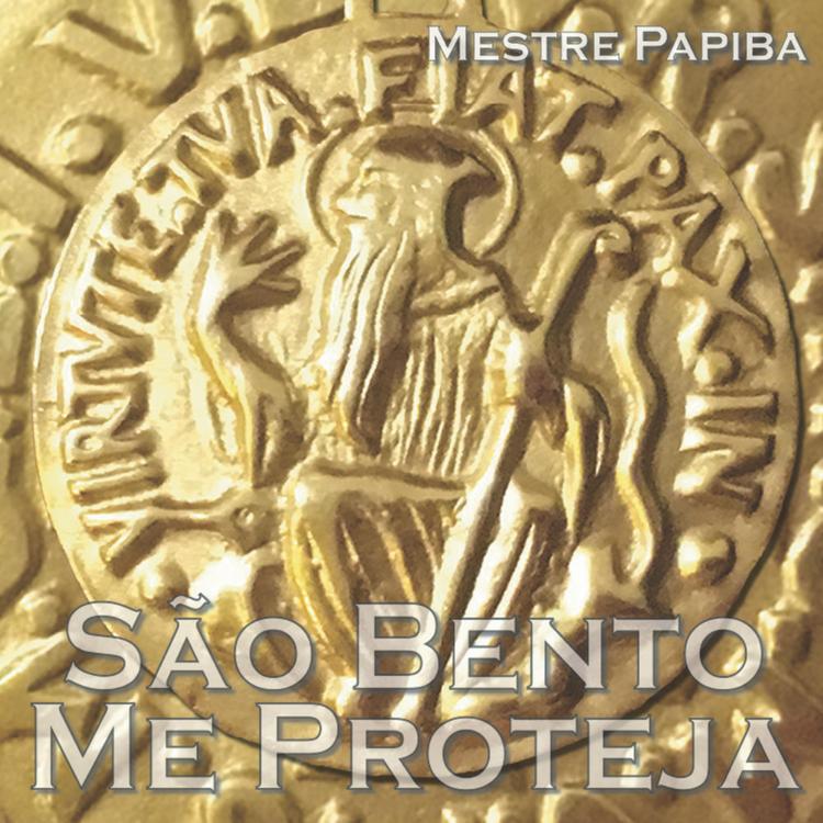 Mestre Papiba Godinho's avatar image