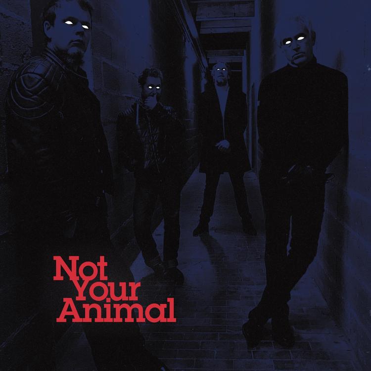Not Your Animal's avatar image