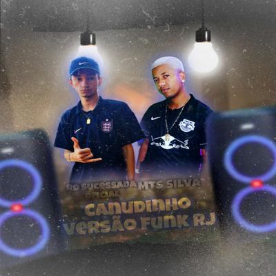 POR VOCÊ EU BEBO O MAR DE CANUDINHO VERSÃO FUNK RJ By Rd Sucessada Oficial, MTS Silva's cover