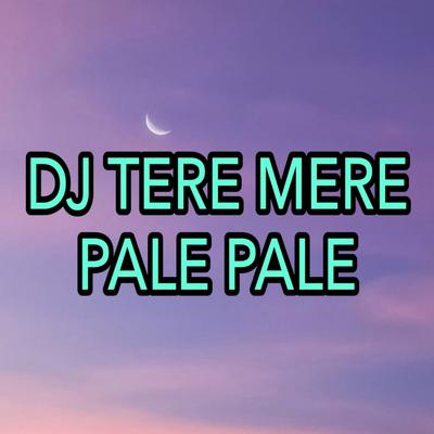 DJ Tere Mere - Pale Pale's cover