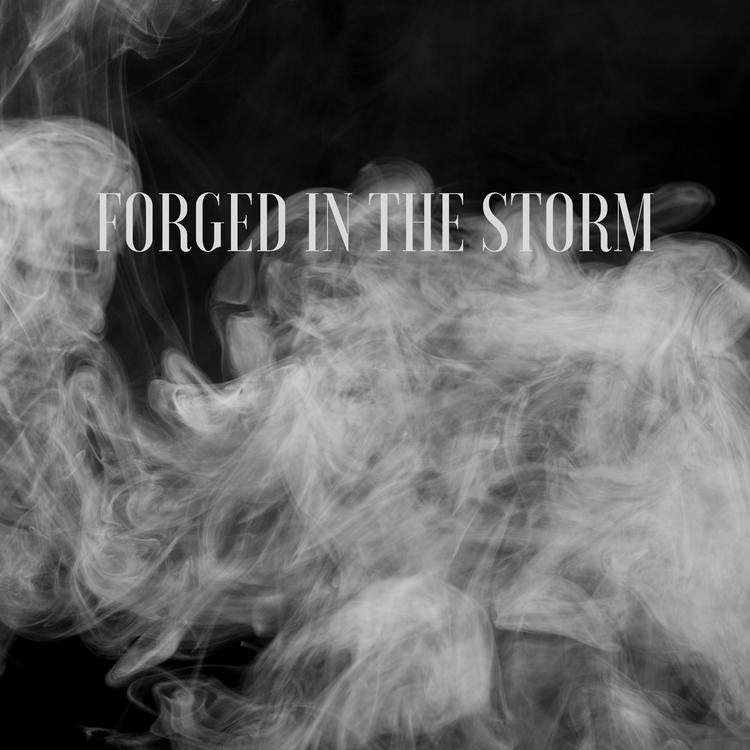 Forged in the Storm's avatar image