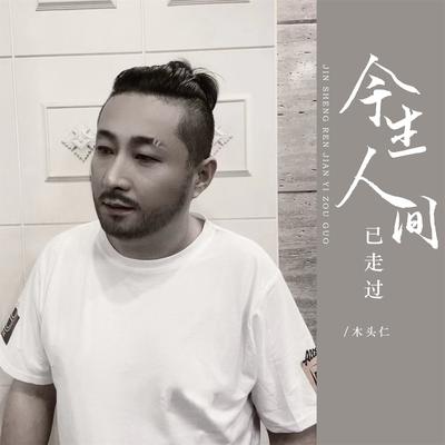 今生人间已走过's cover