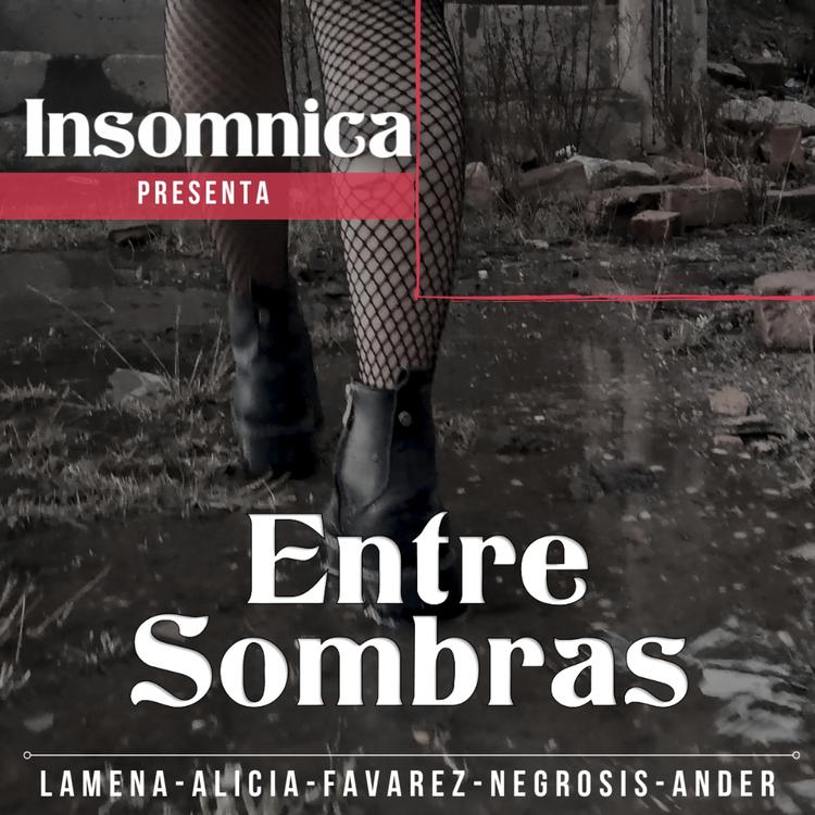 Insomnica's avatar image