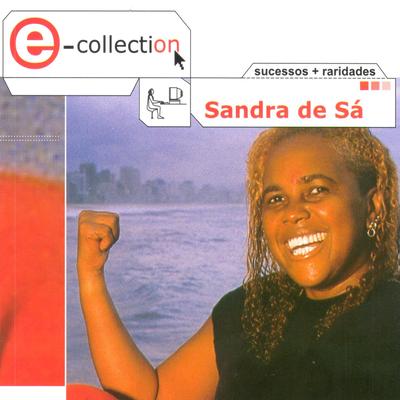 Enredo do meu samba By Sandra Sa's cover