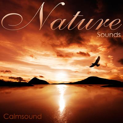 Desert at Night - Wildlife Sounds on a Gentle Breeze By Calmsound's cover