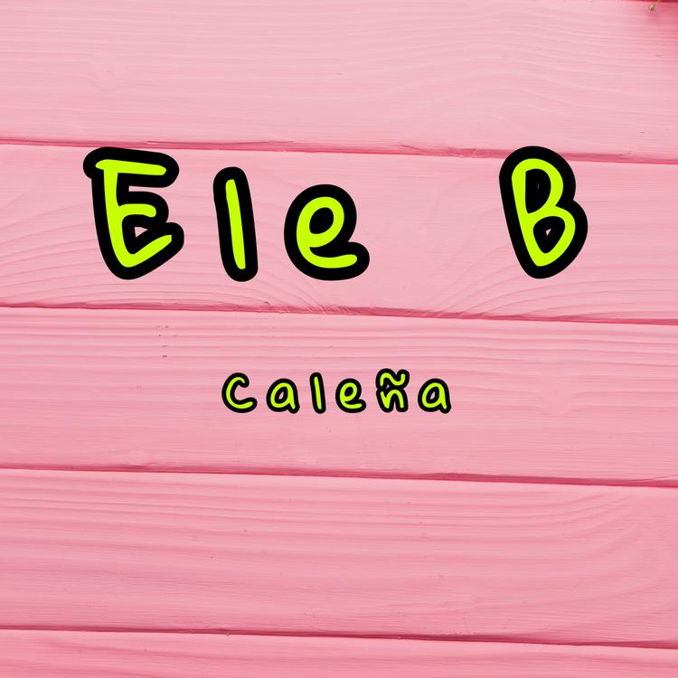 Ele B's avatar image