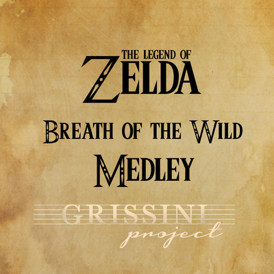 Medley Zelda Breath of the Wild: Main Theme / On Horse / Rito Village / Hyrule Castle / Beast Ganon's cover