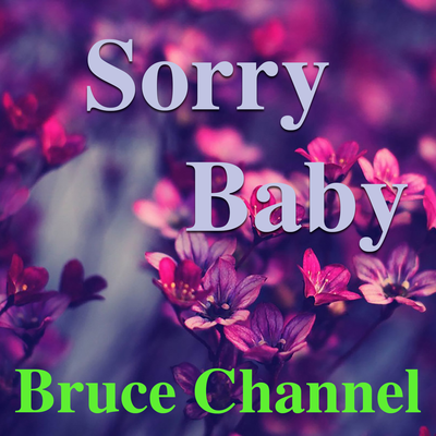 Sorry Baby's cover